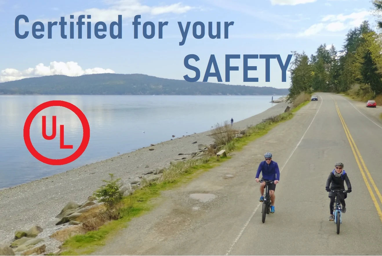 ENVO Lynx 20" Electric Bike